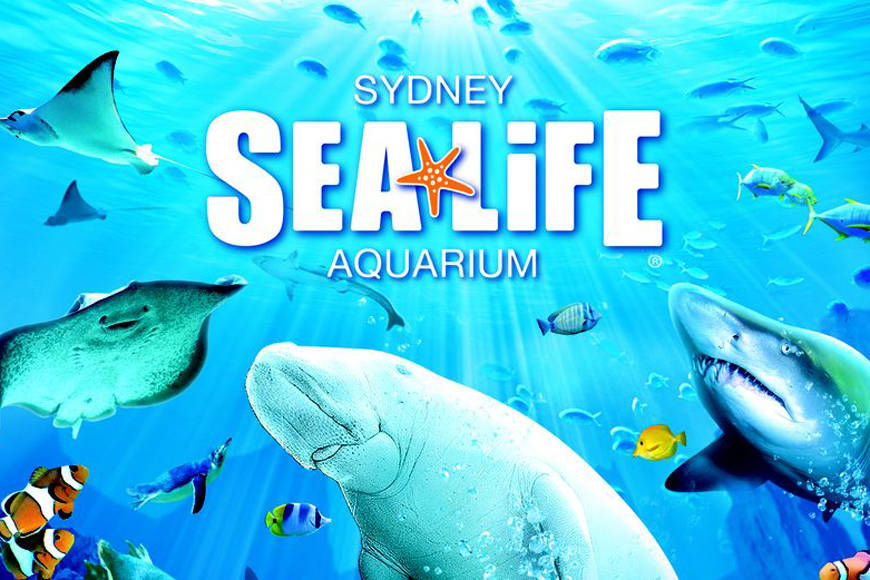 Tickets For Sea Life Sydney Aquarium Best Tickets Com Au   Sea Life Sydney Aquarium 