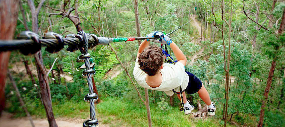 treetop adventure tamborine