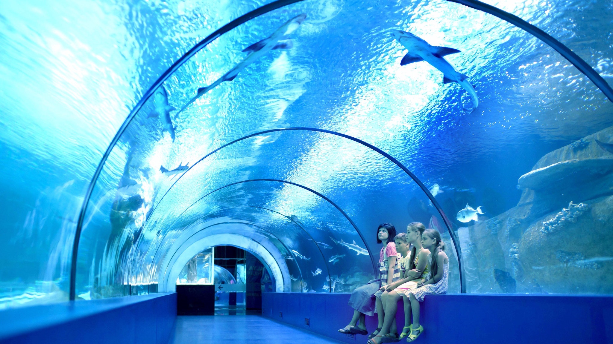 Tickets for Cairns Aquarium | Best-tickets.com.au