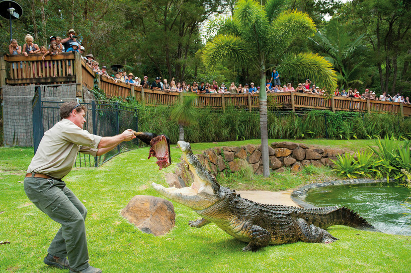 Tickets for Currumbin Wildlife Sanctuary | Best-tickets.com.au