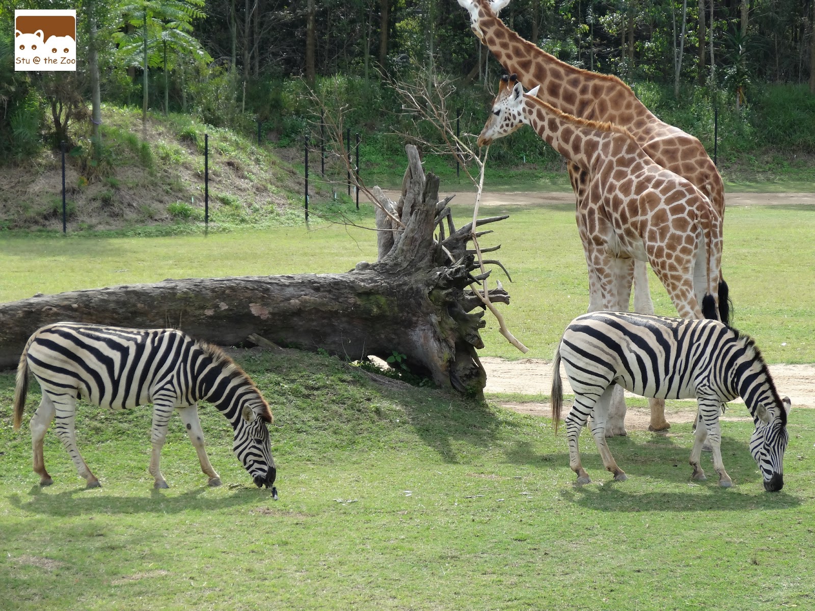 tickets-for-australia-zoo-best-tickets-au