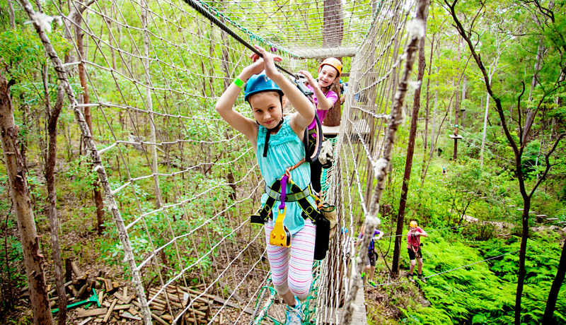 treetop adventure tamborine